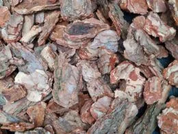 Кора соснова середня фракція